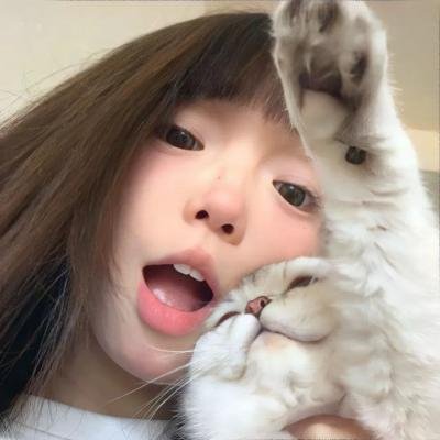 鸟瞰人生